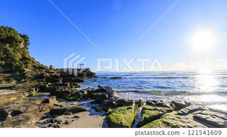 下田市白濱神社新年 121541609
