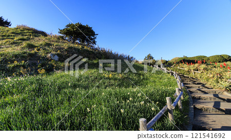 下田市築木崎的冬天 121541692