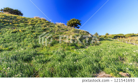 下田市築木崎的冬天 下田市築木崎的冬天 121541693