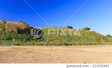 Winter in Tsumekizaki, Shimoda City Winter in Tsumekizaki, Shimoda City 121541697