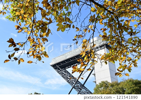 Gifu World Rose Garden's Flower Tower and Autumn Kobushi Leaves Gifu World Rose Garden's Flower Tower and Autumn Kobushi Leaves 121541890