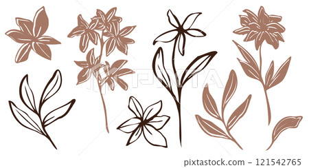 Minimalistic vector botanical illustration. hand drawn flowers and leaves in mocha and brawn outlines. line art and silhouettes, emphasizing natural, organic beauty in a modern style 121542765
