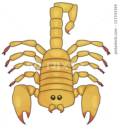 可愛的蝎子圖 121543164