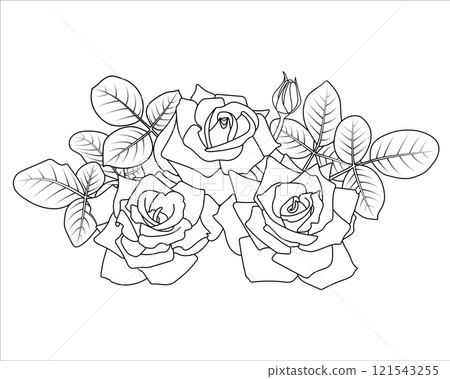 Line Roses border. Outline flowers bouquet, buds and leaves 121543255