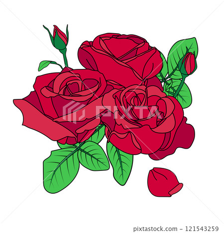 Simple floral rose bouquet illustration. Simple floral rose bouquet illustration. 121543259