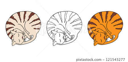 Cat sleeping curled up. Simple doodle elements Cat sleeping curled up. Simple doodle elements 121543277
