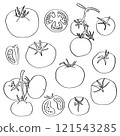 Set of tomato icons. Hand-drawn doodle contours. Black and white tomatoes collection 121543285