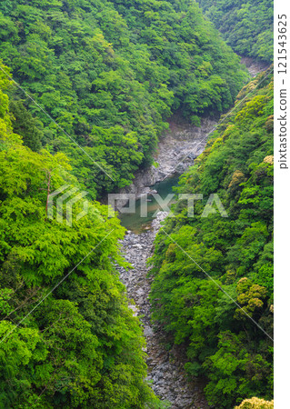 A valley that shines in the fresh green A valley that shines in the fresh green 121543625
