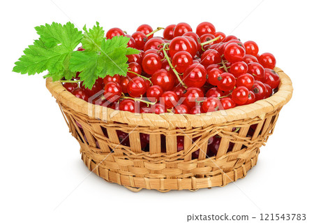 Red currant berries in a wicker basket isolated on white background 121543783