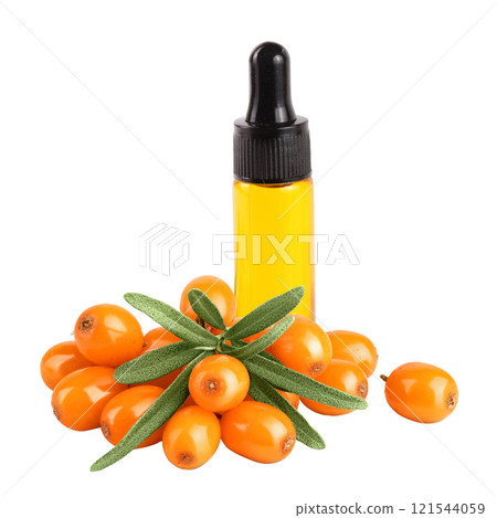 Sea buckthorn oil in a bottle. Fresh ripe berry with leaves isolated on white background macro Sea buckthorn oil in a bottle. Fresh ripe berry with leaves isolated on white background macro 121544059