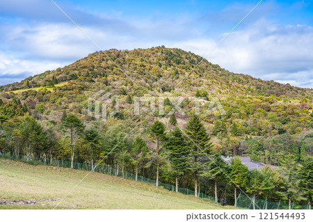 Scenery of Chausuyama Plateau as the leaves begin to change color (Aichi Prefecture) Scenery of Chausuyama Plateau as the leaves begin to change color (Aichi Prefecture) 121544493