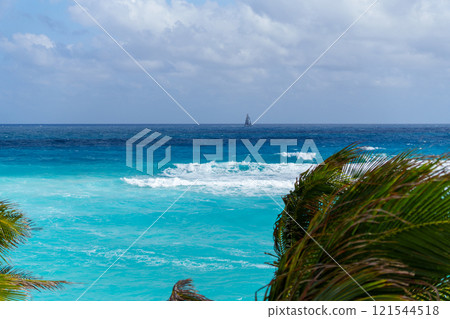 Ocean view from a palm tree with a distant sailboat Ocean view from a palm tree with a distant sailboat 121544518