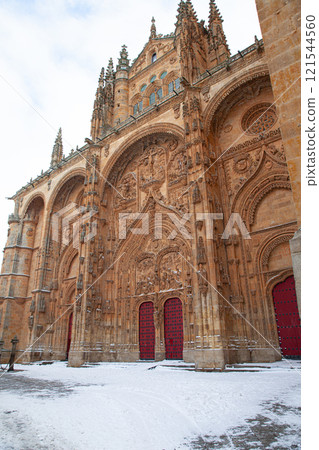 Portal of New Cathedral in Salamanca, Spain 121544560