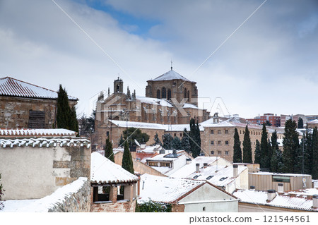 New Cathedral in Salamanca, Spain 121544561