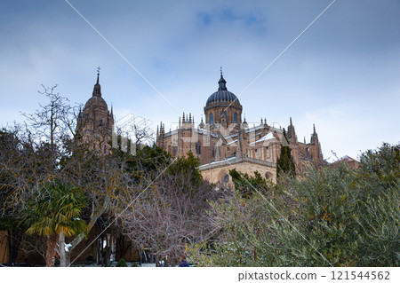 New Cathedral in Salamanca, Spain 121544562