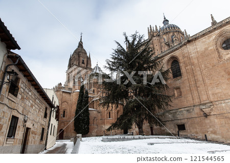 New Cathedral in Salamanca, Spain 121544565