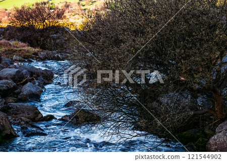 A small, swift stream rushes between grey rocks. A shrub with leafless branches partially obscures the water's flow. Green moss covers many rocks. A small, swift stream rushes between grey rocks. A shrub with leafless branches partially obscures the water's flow. Green moss covers many rocks. 121544902