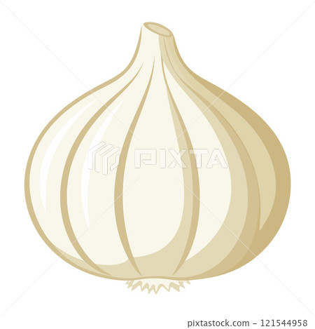garlic vegetable for cooking meals. A bright element isolated on white for design.  121544958
