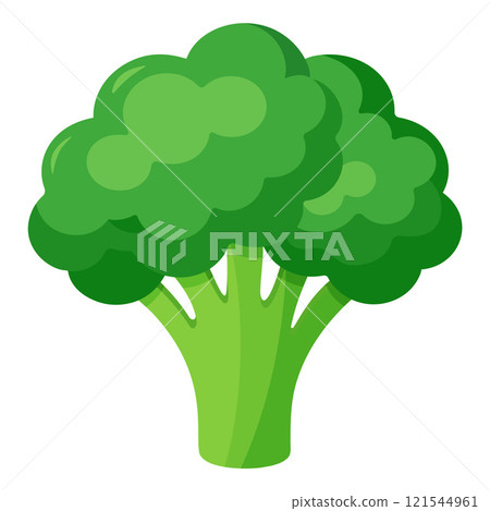 broccoli vegetable for cooking meals. A bright element isolated on white for design.  121544961