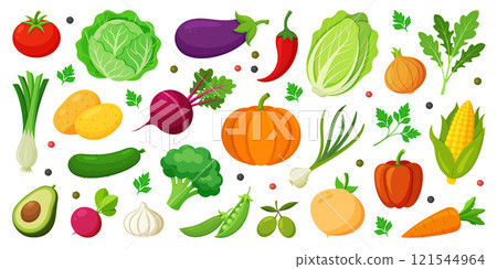 Hand drawn colorful vegetables icon set. Trendy flat style organic food 121544964