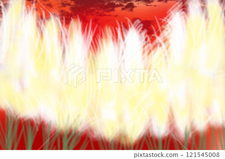 Card with silver reed, silver reed, pampas grass and sunset 121545008