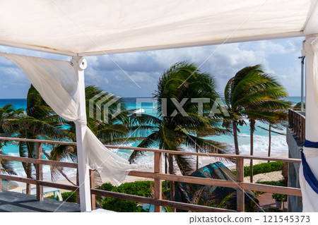 Experience a Tropical Paradise Featuring Beautiful Palm Trees and a Breathtaking Ocean View 121545373