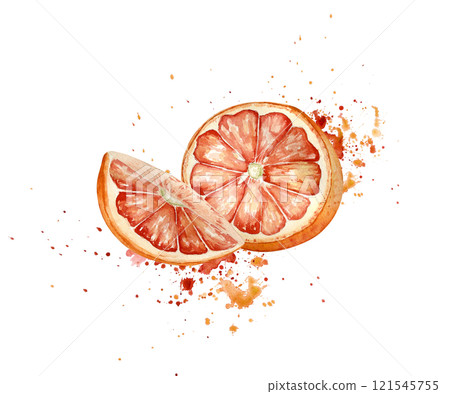 Juicy Red oranges and watercolor splash in botanical style painted. Pink ripe grapefruits illustration isolated. Half and slice grapefruits on juice drops hand drawn sketch. Citrus fruits for design. 121545755