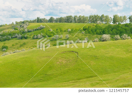 Fantastic rural area with fresh green pasture and blue sky on a sunny day. Agricultural area of Moldova, Europe. 121545757