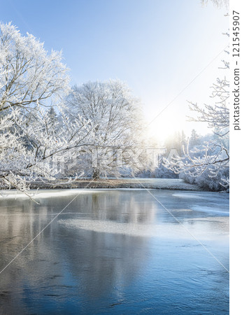Panoramic View of Frozen Lake With Tree. 121545907