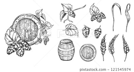 Set of beer ingredients: hops plant and wheat ear black white vector graphic illustration isolated. Cone hops and humulus vine, beer barrel monochrome drawing for packaging, label, craft brewery Set of beer ingredients: hops plant and wheat ear black white vector graphic illustration isolated. Cone hops and humulus vine, beer barrel monochrome drawing for packaging, label, craft brewery 121545974