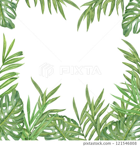 Watercolor realistic tropical green leaves square frame. Hand painted palm, Areca, Cycas and monstera foliage border with empty space for text. Floral illustration for greeting cards, invitations Watercolor realistic tropical green leaves square frame. Hand painted palm, Areca, Cycas and monstera foliage border with empty space for text. Floral illustration for greeting cards, invitations 121546808
