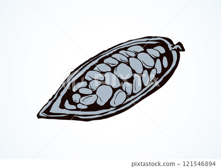 Cocoa Fruits. Vector drawing 121546894
