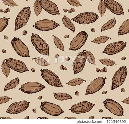 Cocoa Fruits. Vector drawing 121546895