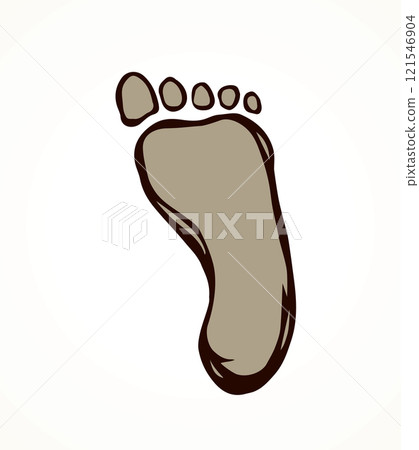 Foot. Vector drawing 121546904
