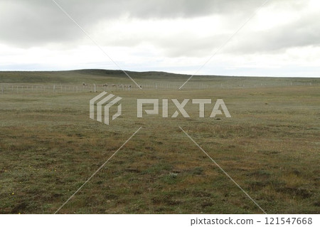 Tierra Del Fuego  Patagonia Chile 121547668