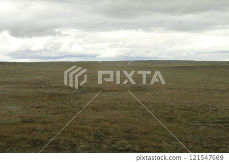 Tierra Del Fuego  Patagonia Chile 121547669