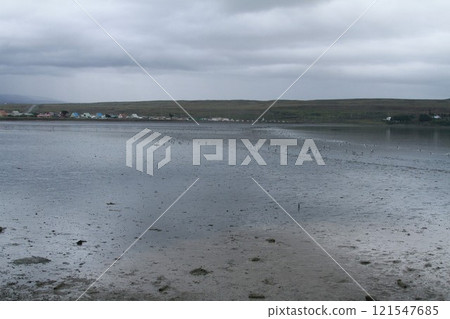 Tierra Del Fuego  Patagonia Chile 121547685