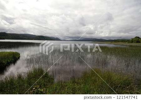 Parque nacional de chiloe 121547741