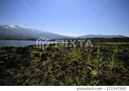 Parque Nacional Conguillo Chile 121547880