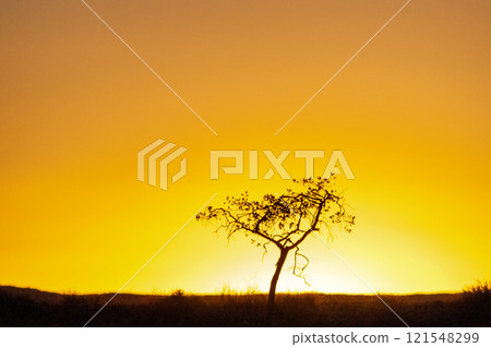 Sunset at Sesriem Canyon 121548299