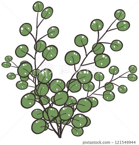 set of green branches 121549944