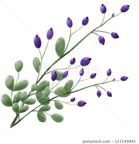 set of watercolor green leaves 121549945