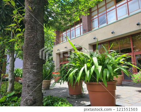 餐廳場景 餐廳場景 121551503