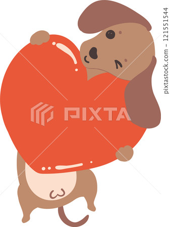 Cute Valentine Dog Dachshund hug heart 121551544