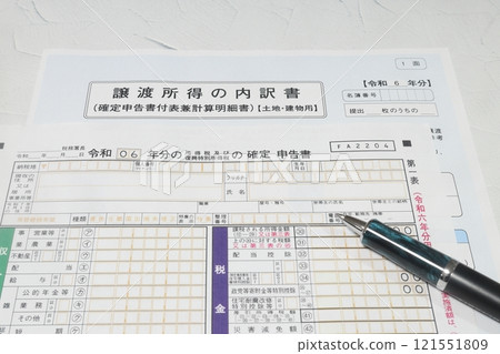 Income tax return for fiscal year 2024 and breakdown of capital gains 121551809