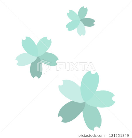 淺藍色上有三種不同顏色花瓣的櫻花 121551849