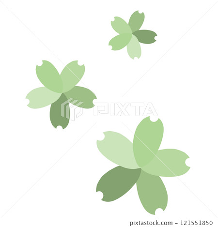 綠色上有三種不同顏色的花瓣的櫻花 121551850