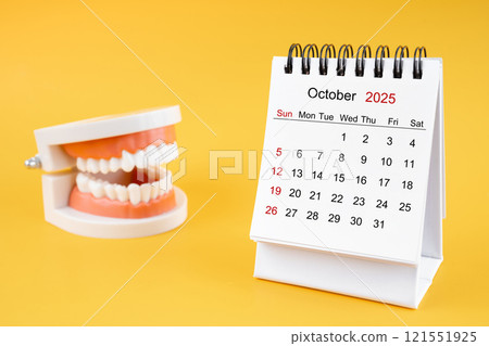 Desk calendar October 2025 and tooth model on yellow background. 121551925