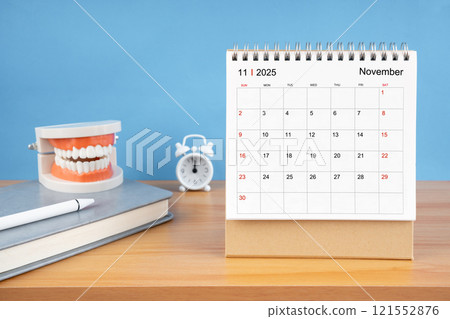 November monthly desk calendar for 2025 year and model dentures on the table. November monthly desk calendar for 2025 year and model dentures on the table. 121552876