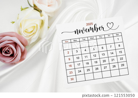 November 2025 calendar page and rose flower on white satin textile. 121553050
